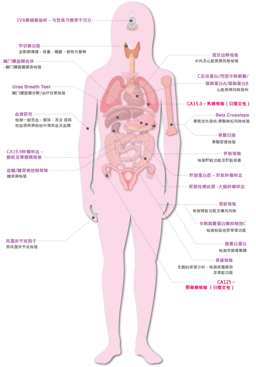 Pathlab 验 血 配套 2021