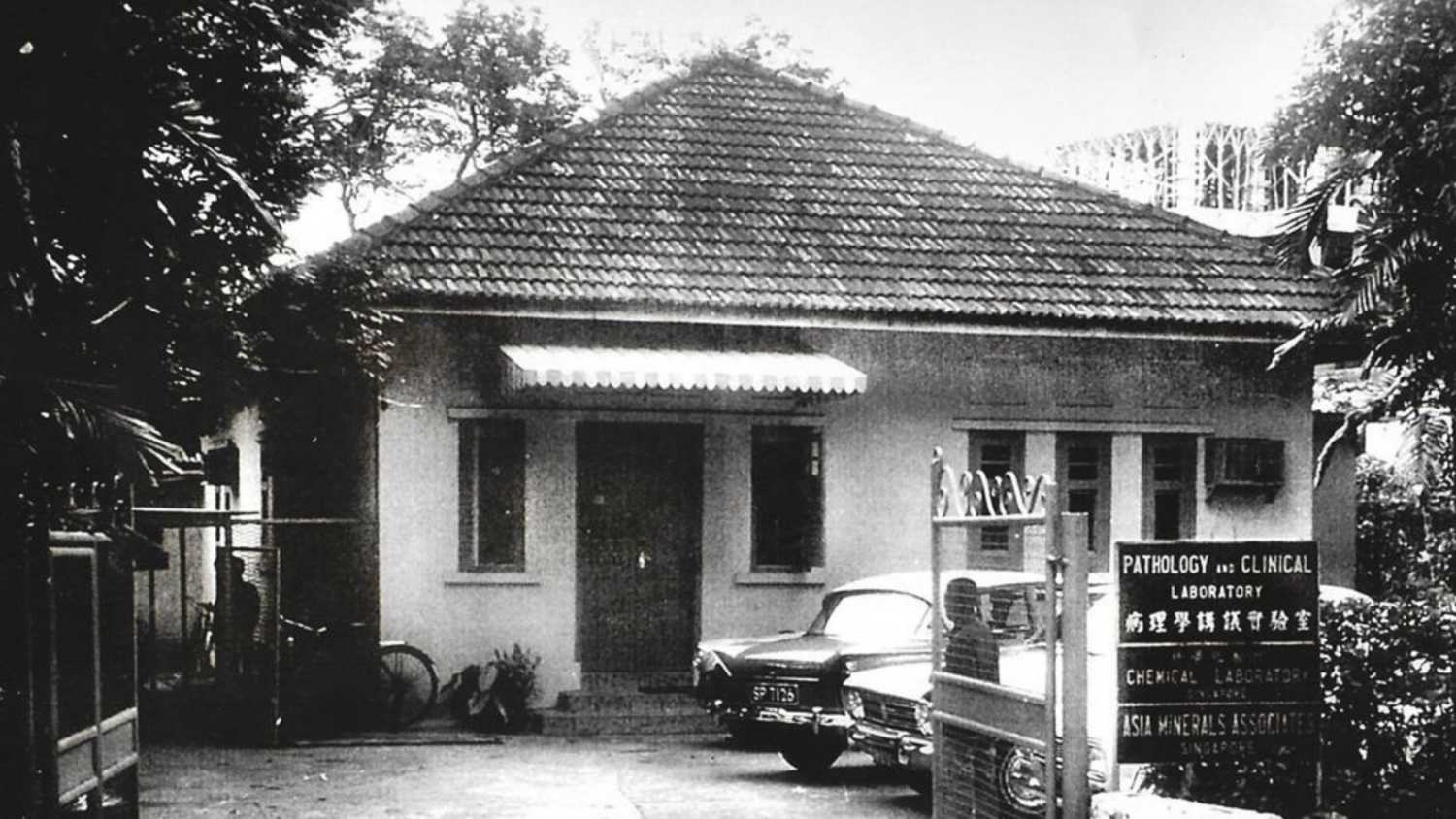photo_1952.png